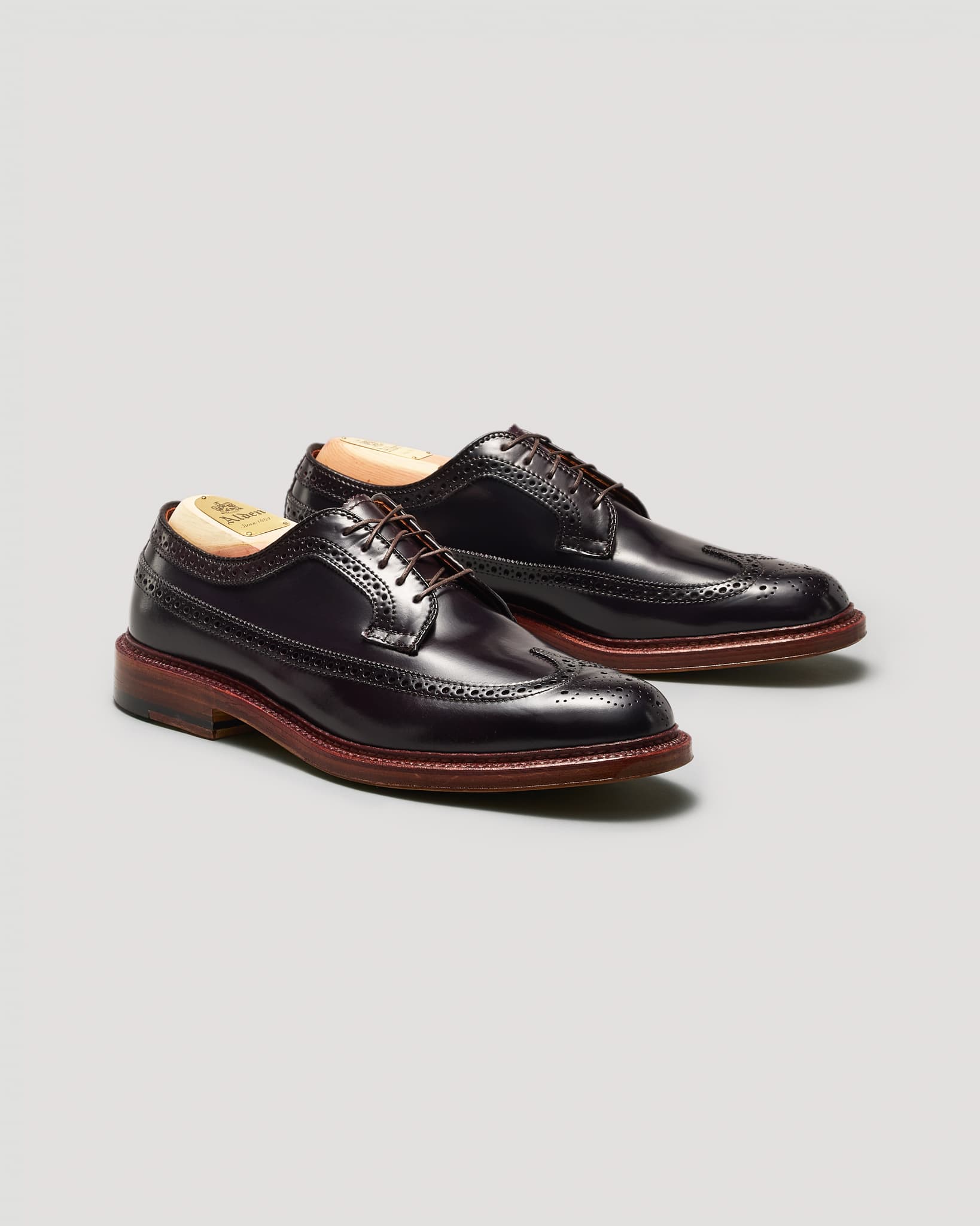 975A Long Wing Blucher in Color 8 Shell Cordovan, Barrie Last