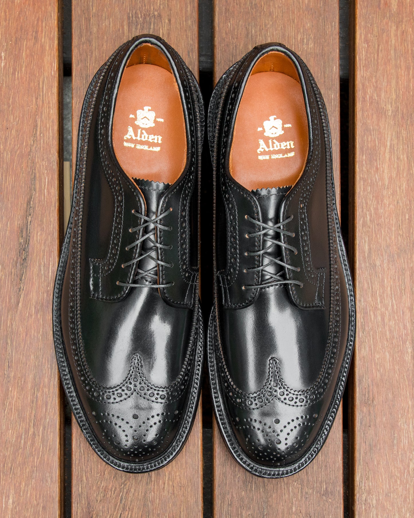 9751 Long Wing Blucher in Black Shell Cordovan, Barrie Last