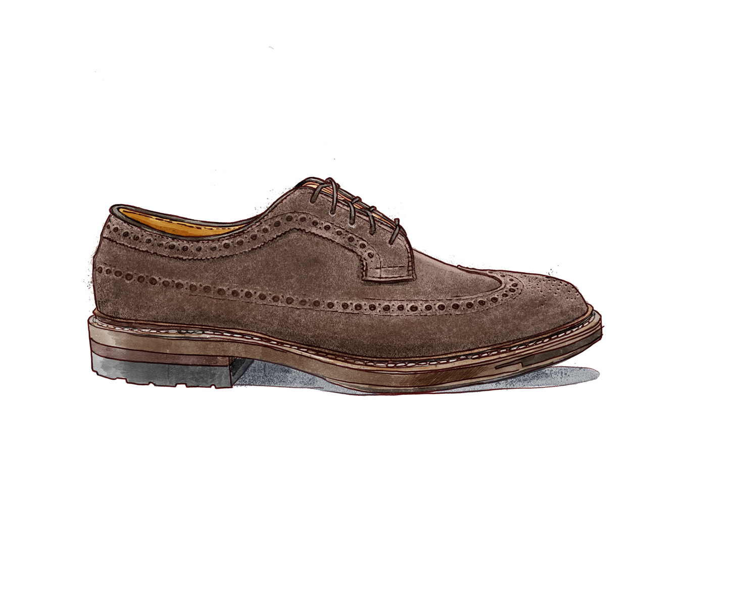 "Scholar" Long Wing Blucher in Humus Suede, Barrie Last