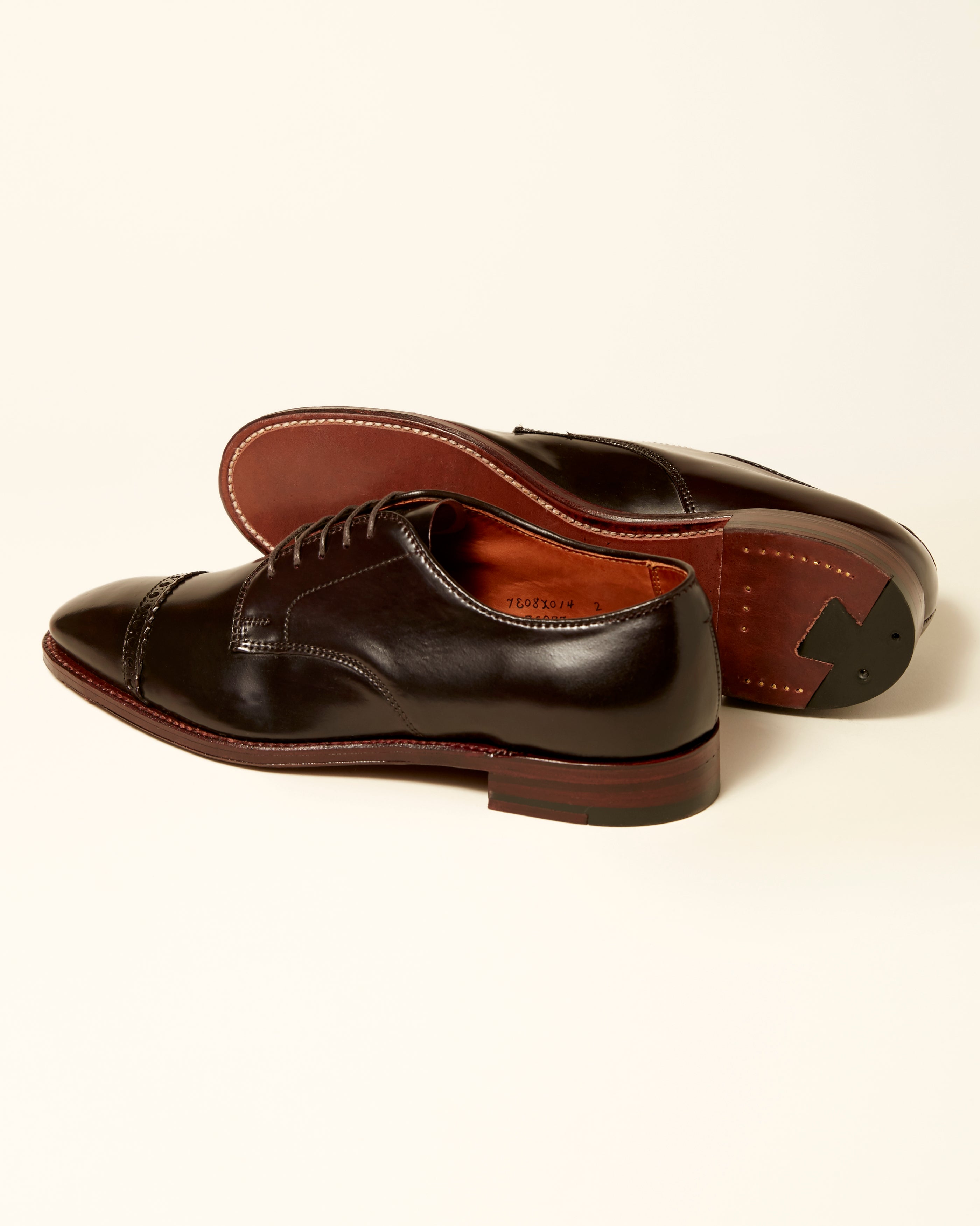 "Director" Unlined Perforated Tip Derby in Color 8 Shell Cordovan, Plaza Last