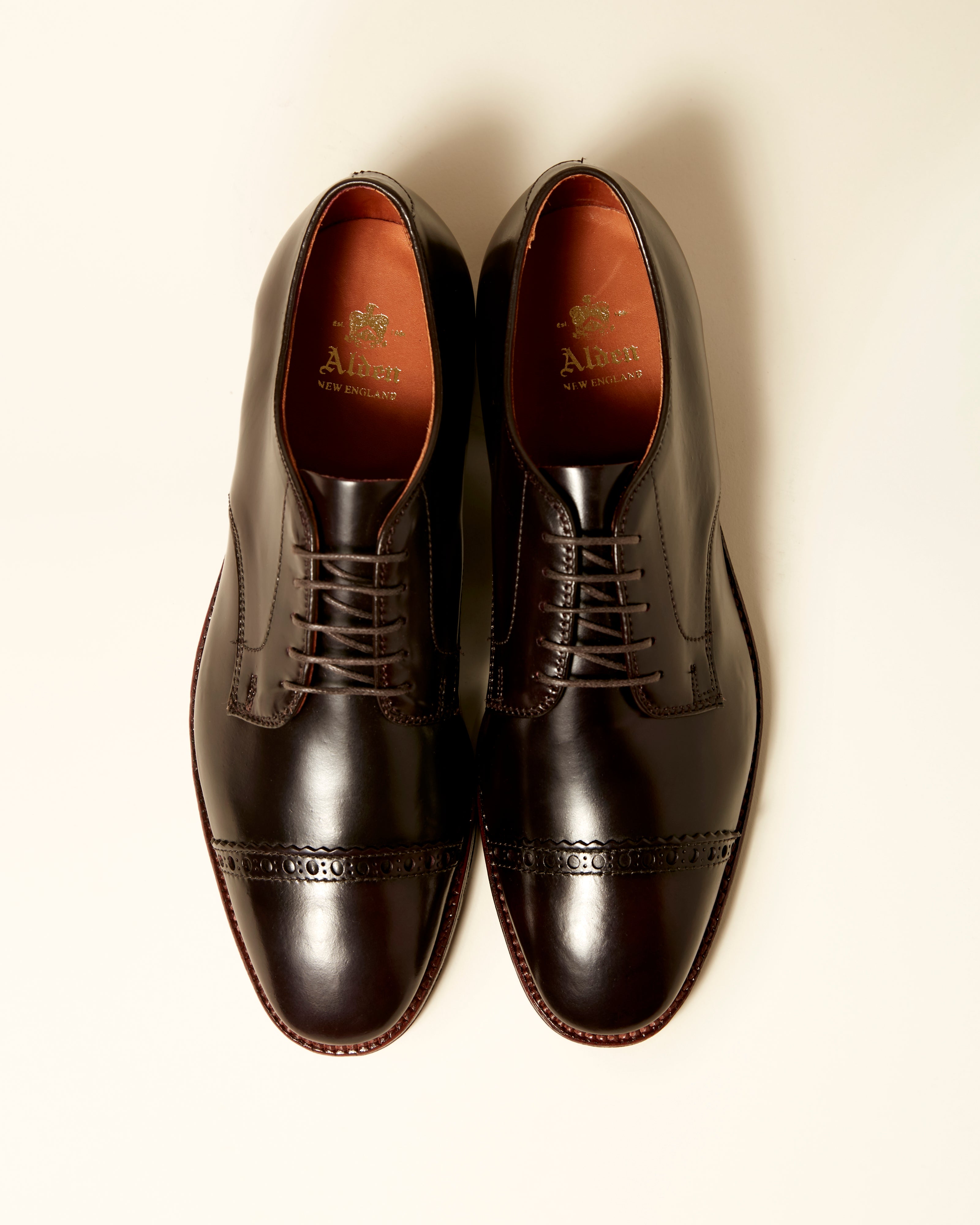 "Director" Unlined Perforated Tip Derby in Color 8 Shell Cordovan, Plaza Last